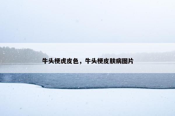 牛头梗虎皮色，牛头梗皮肤病图片