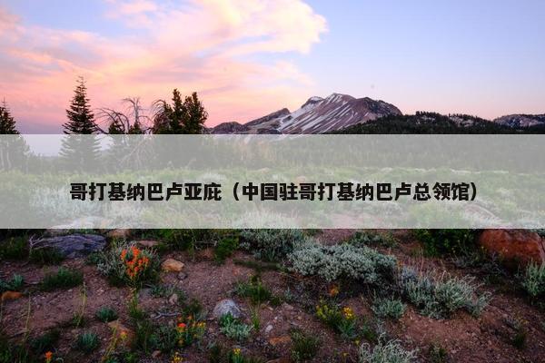 哥打基纳巴卢亚庇（中国驻哥打基纳巴卢总领馆）