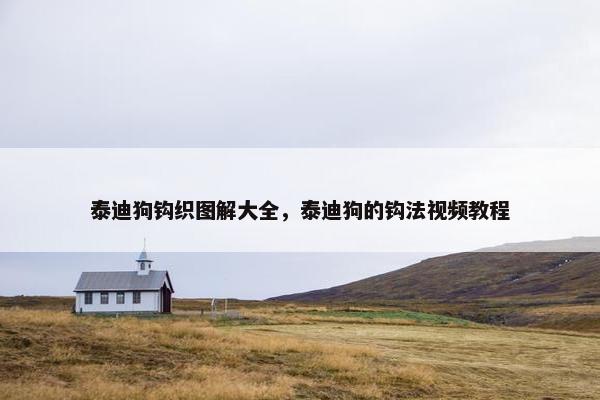 泰迪狗钩织图解大全，泰迪狗的钩法视频教程