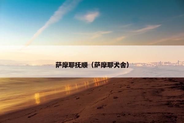 萨摩耶抚顺（萨摩耶犬舍）