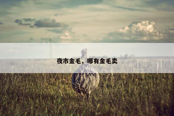 夜市金毛，哪有金毛卖