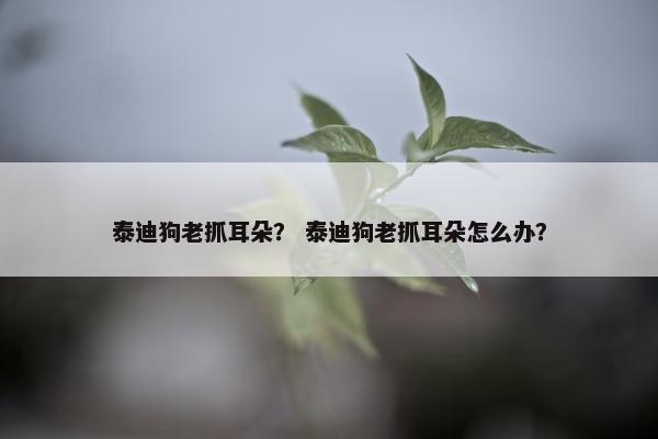 泰迪狗老抓耳朵？ 泰迪狗老抓耳朵怎么办？