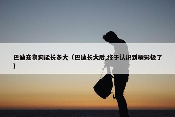 巴迪宠物狗能长多大（巴迪长大后,终于认识到精彩极了）