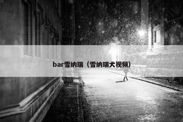 bar雪纳瑞（雪纳瑞犬视频）