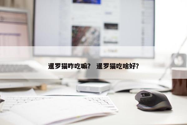 暹罗猫咋吃嘛？ 暹罗猫吃啥好？
