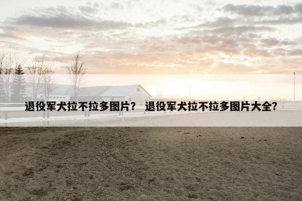 退役军犬拉不拉多图片？ 退役军犬拉不拉多图片大全？