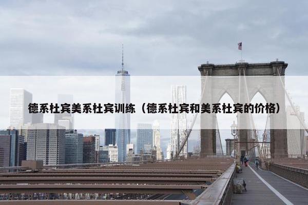 德系杜宾美系杜宾训练（德系杜宾和美系杜宾的价格）