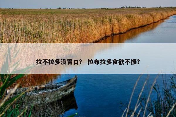拉不拉多没胃口？ 拉布拉多食欲不振？