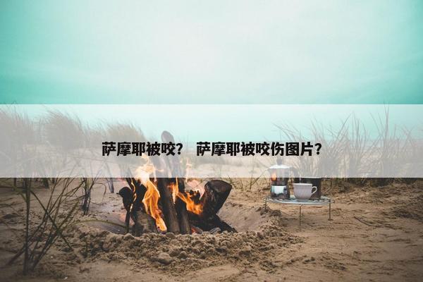 萨摩耶被咬? 萨摩耶被咬伤图片? 萨摩耶被咬? 萨摩耶被咬伤图片?