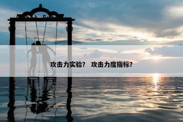 攻击力实验？ 攻击力度指标？