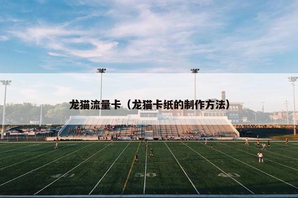 龙猫流量卡（龙猫卡纸的制作方法）