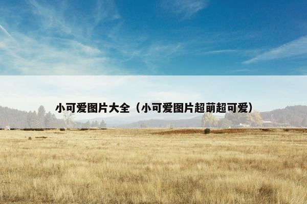 小可爱图片大全（小可爱图片超萌超可爱）