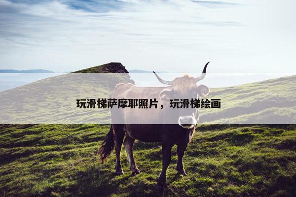 玩滑梯萨摩耶照片，玩滑梯绘画