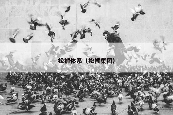 松狮体系（松狮集团）