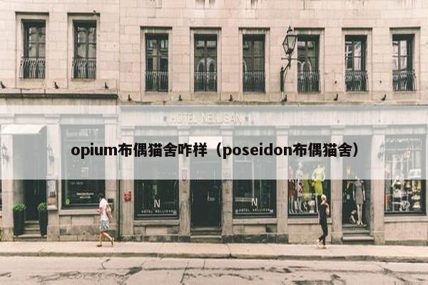 opium布偶猫舍咋样（poseidon布偶猫舍）