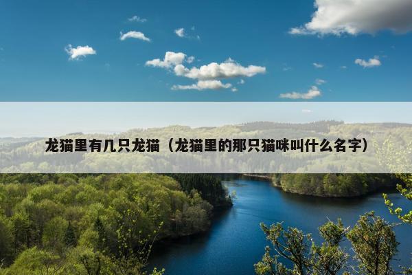 龙猫里有几只龙猫（龙猫里的那只猫咪叫什么名字）