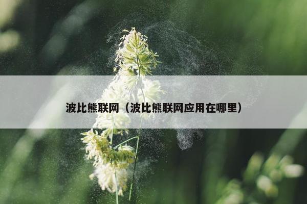 波比熊联网（波比熊联网应用在哪里）