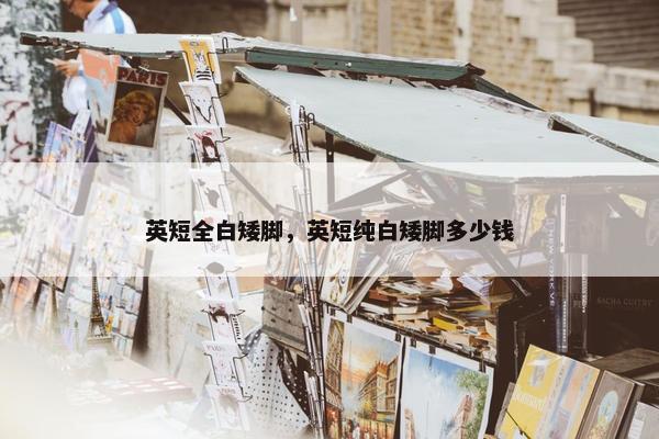 英短全白矮脚，英短纯白矮脚多少钱
