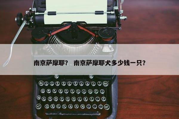 南京萨摩耶？ 南京萨摩耶犬多少钱一只？