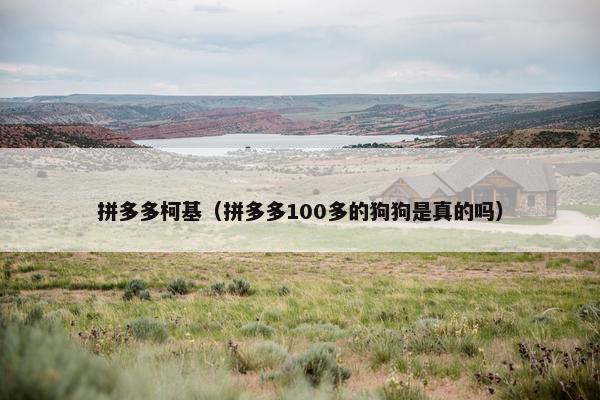 拼多多柯基（拼多多100多的狗狗是真的吗）