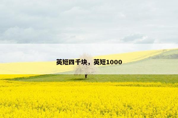 英短四千块，英短1000