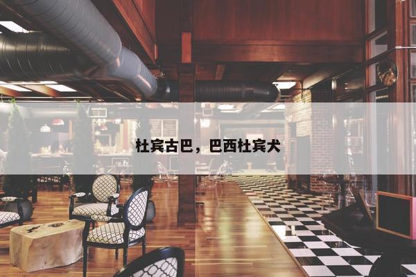 杜宾古巴，巴西杜宾犬