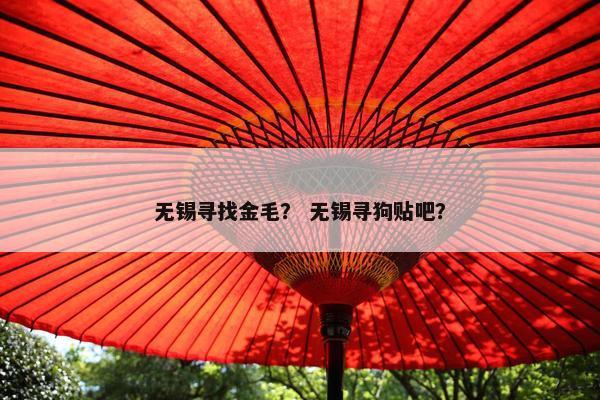 无锡寻找金毛？ 无锡寻狗贴吧？