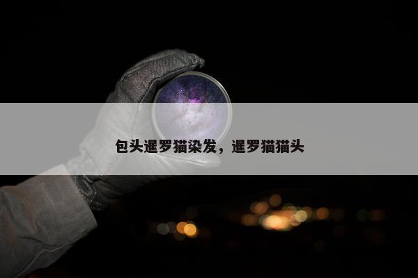 包头暹罗猫染发，暹罗猫猫头