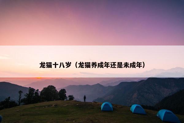 龙猫十八岁（龙猫养成年还是未成年）