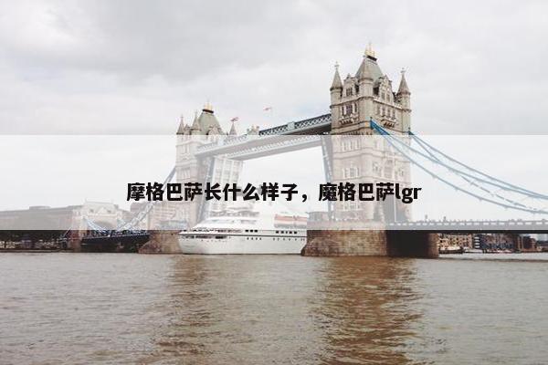 摩格巴萨长什么样子，魔格巴萨lgr