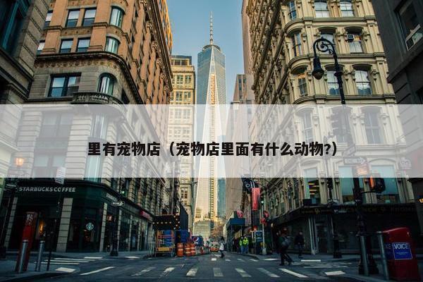 里有宠物店(宠物店里面有什么动物?) 里有宠物店(宠物店里面有什么动物?)