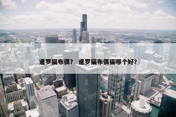 暹罗猫布偶？ 暹罗猫布偶猫哪个好？