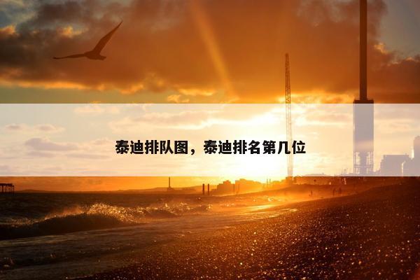 泰迪排队图，泰迪排名第几位