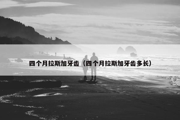四个月拉斯加牙齿（四个月拉斯加牙齿多长）