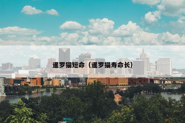 暹罗猫短命（暹罗猫寿命长）