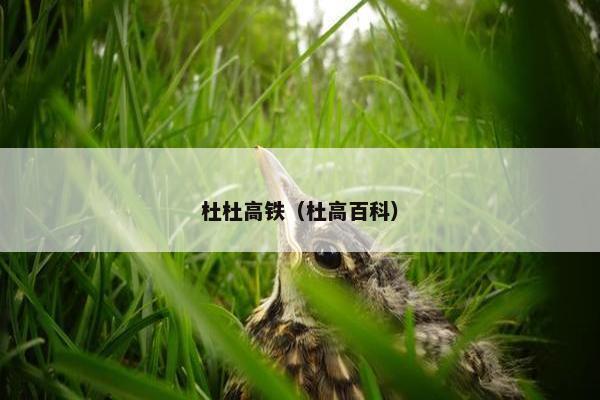 杜杜高铁（杜高百科）