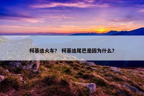 柯基追火车？ 柯基追尾巴是因为什么？