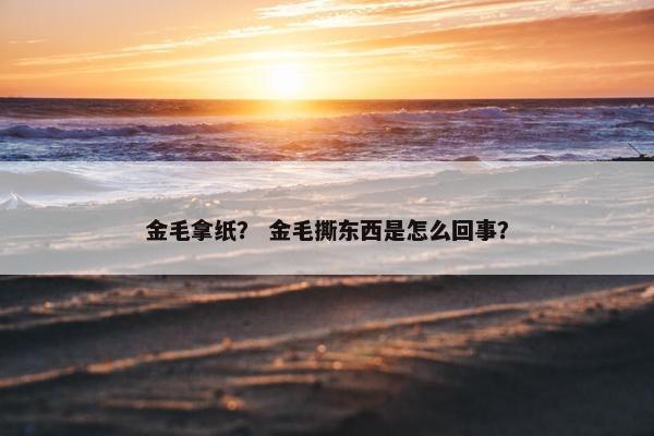 金毛拿纸？ 金毛撕东西是怎么回事？