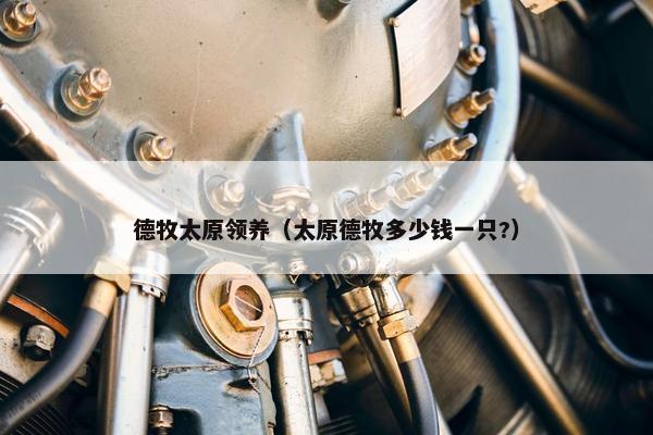 德牧太原领养（太原德牧多少钱一只?）