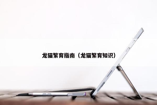 龙猫繁育指南（龙猫繁育知识）