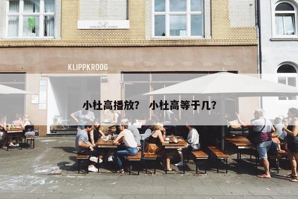 小杜高播放？ 小杜高等于几？