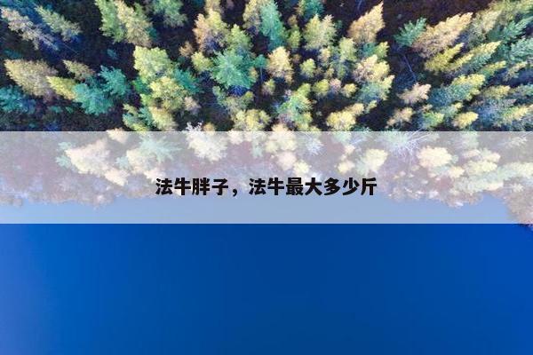 法牛胖子，法牛最大多少斤