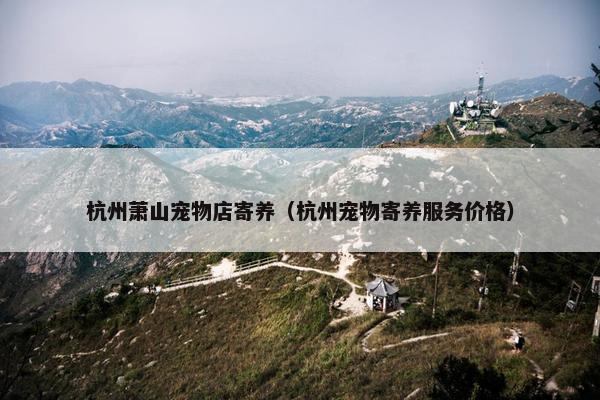 杭州萧山宠物店寄养（杭州宠物寄养服务价格）