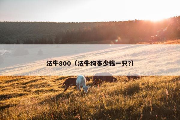 法牛800（法牛狗多少钱一只?）