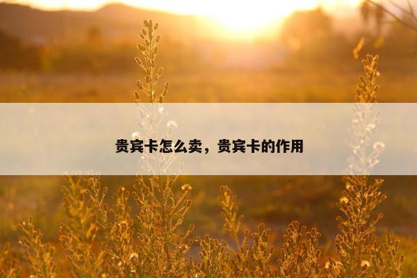 贵宾卡怎么卖，贵宾卡的作用