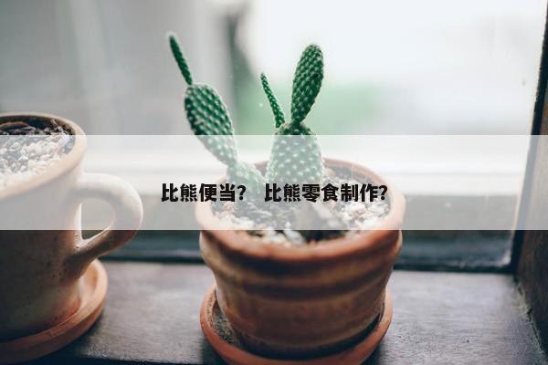 比熊便当？ 比熊零食制作？