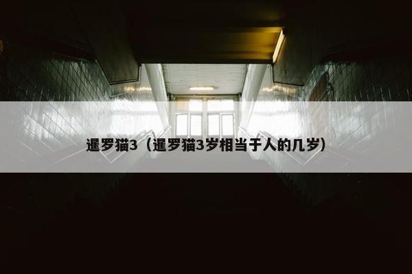 暹罗猫3（暹罗猫3岁相当于人的几岁）