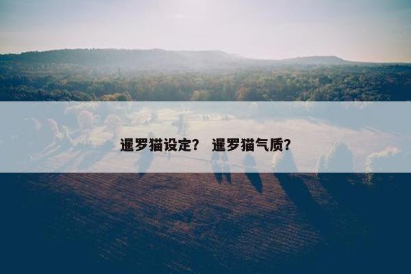 暹罗猫设定？ 暹罗猫气质？