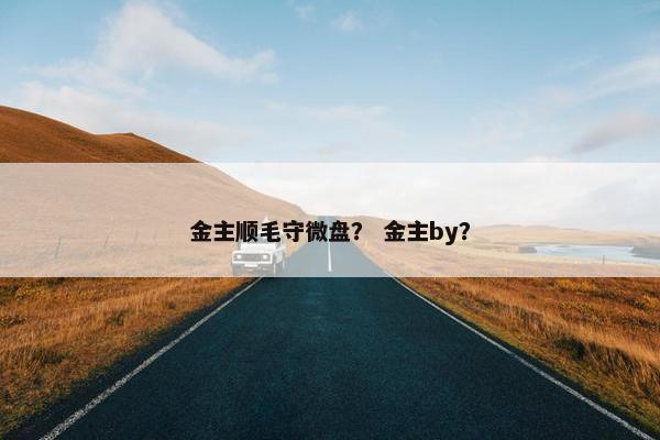 金主顺毛守微盘？ 金主by？