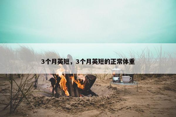 3个月英短，3个月英短的正常体重